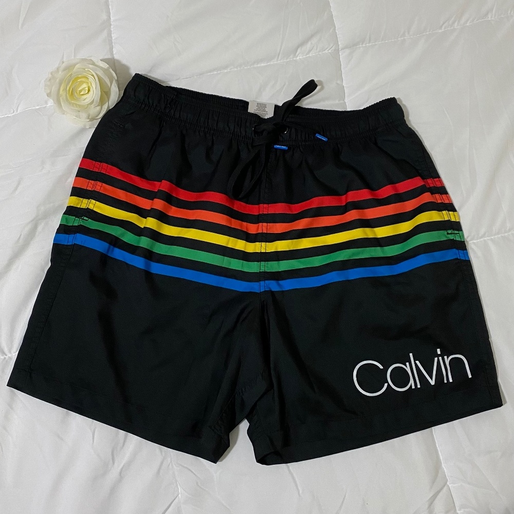 calvin klein swimwear rainbow shorts